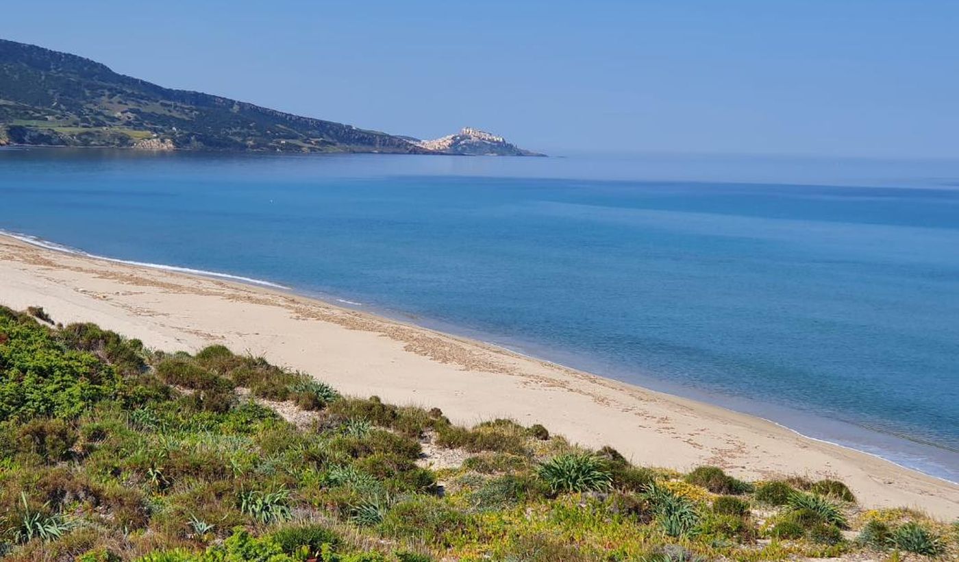 International Camping Valledoria