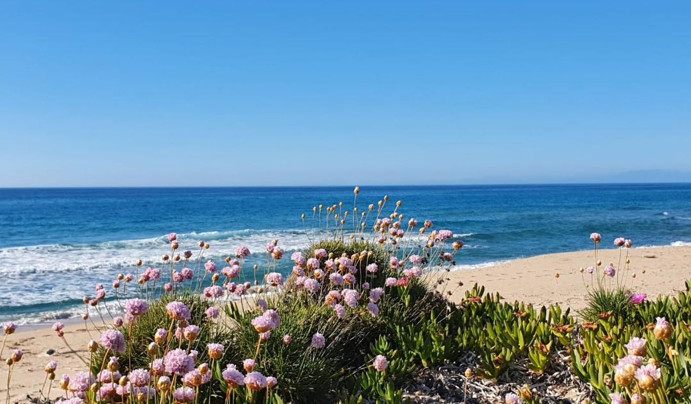 International Camping Valledoria