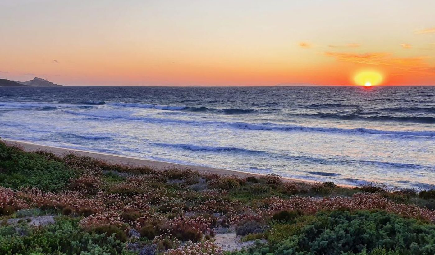 International Camping Valledoria