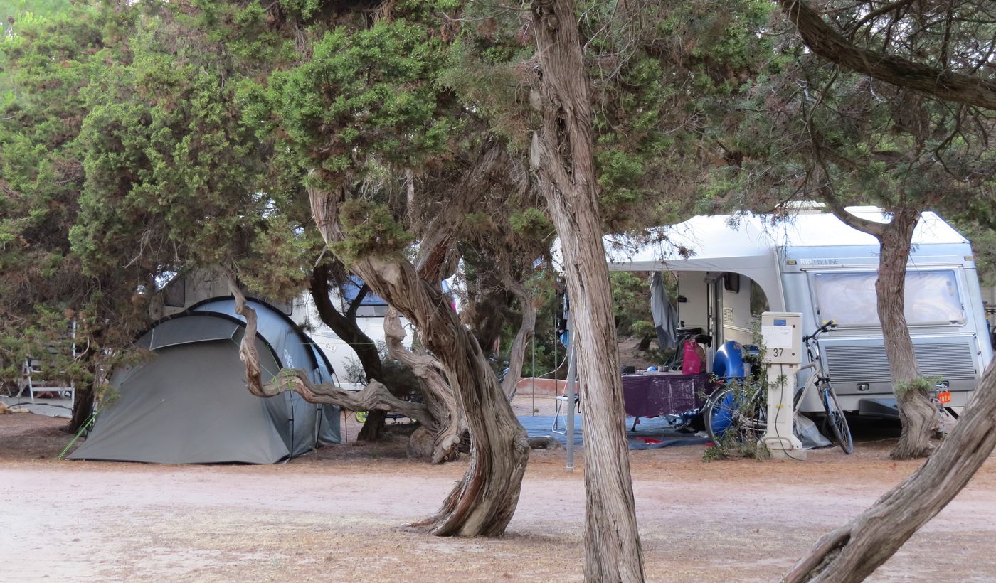 International Camping Valledoria
