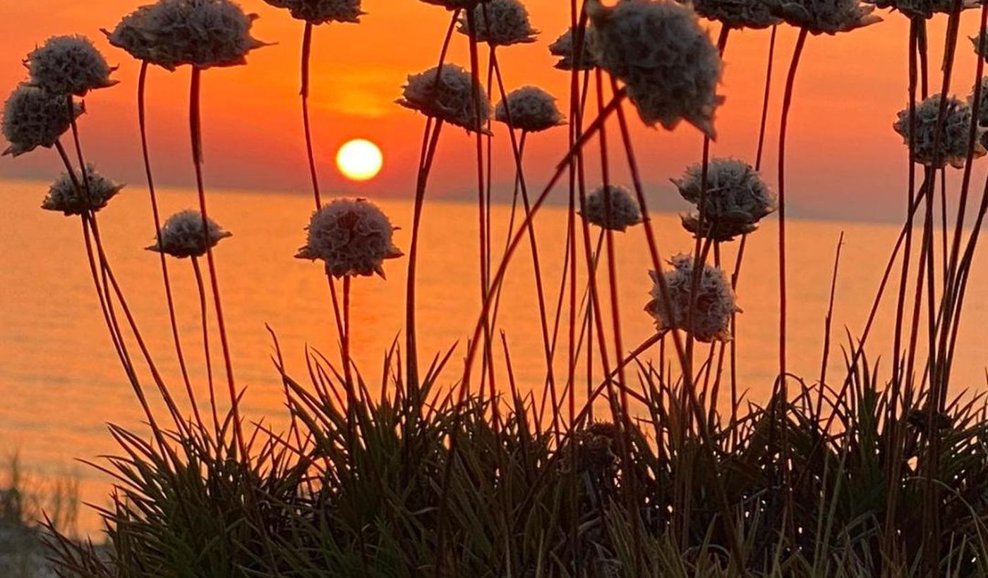 International Camping Valledoria