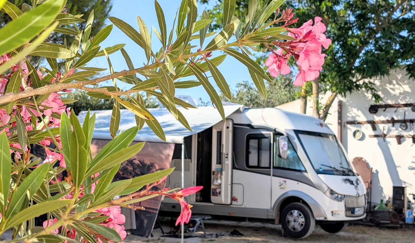 Camping Lilybeo Village