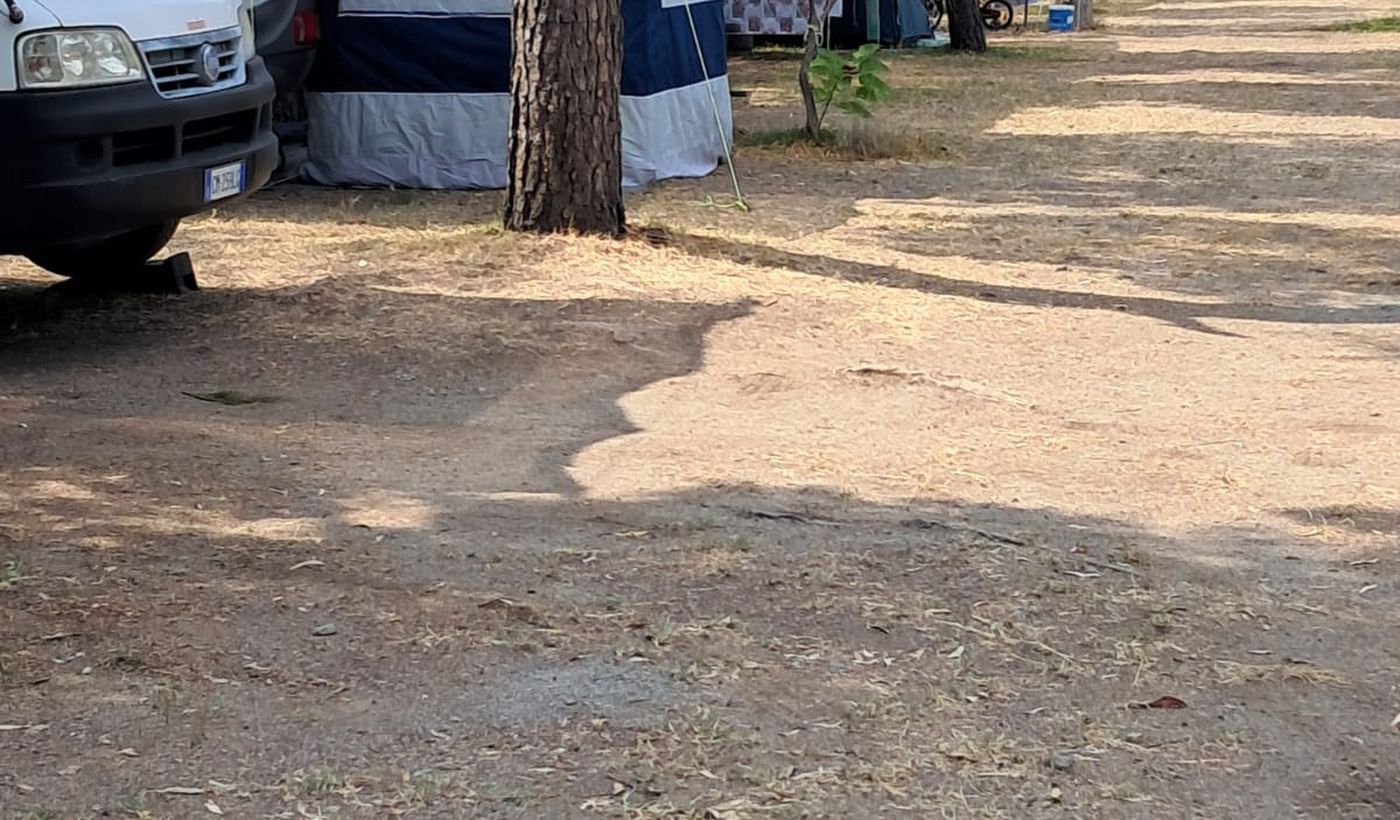 Camping Torre Casale