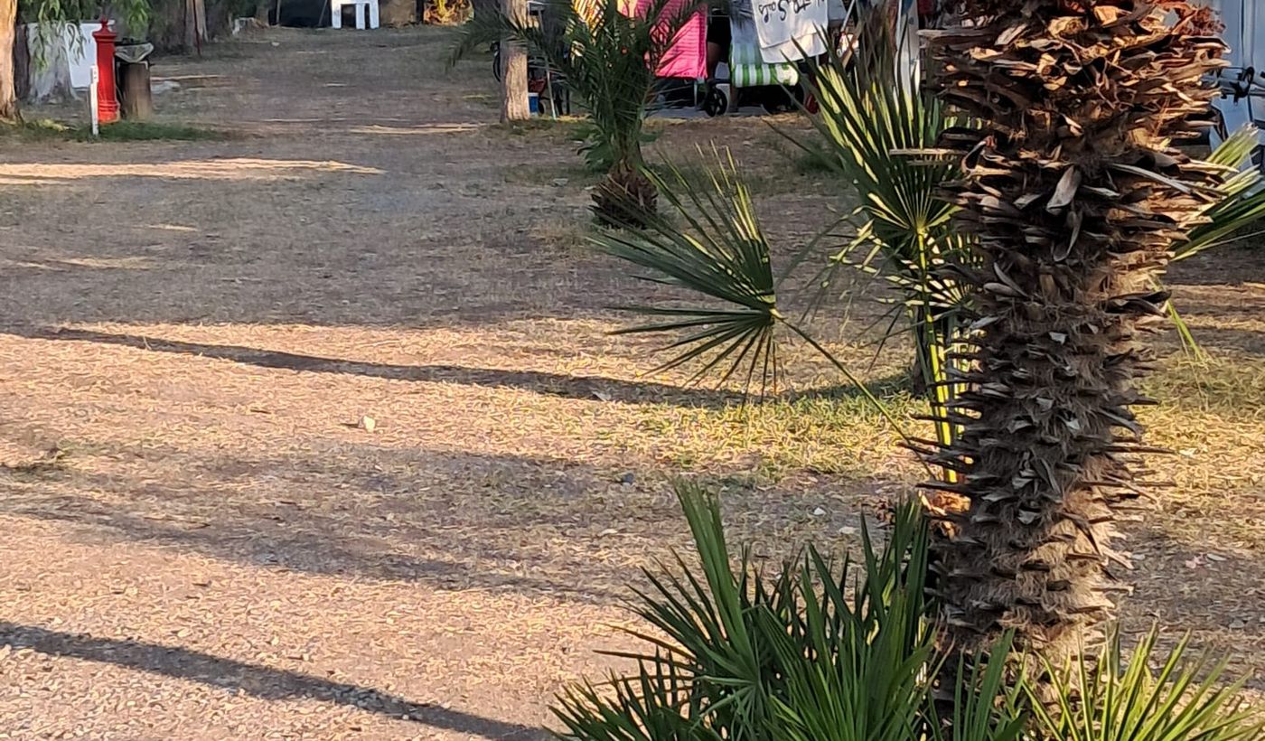 Camping Torre Casale