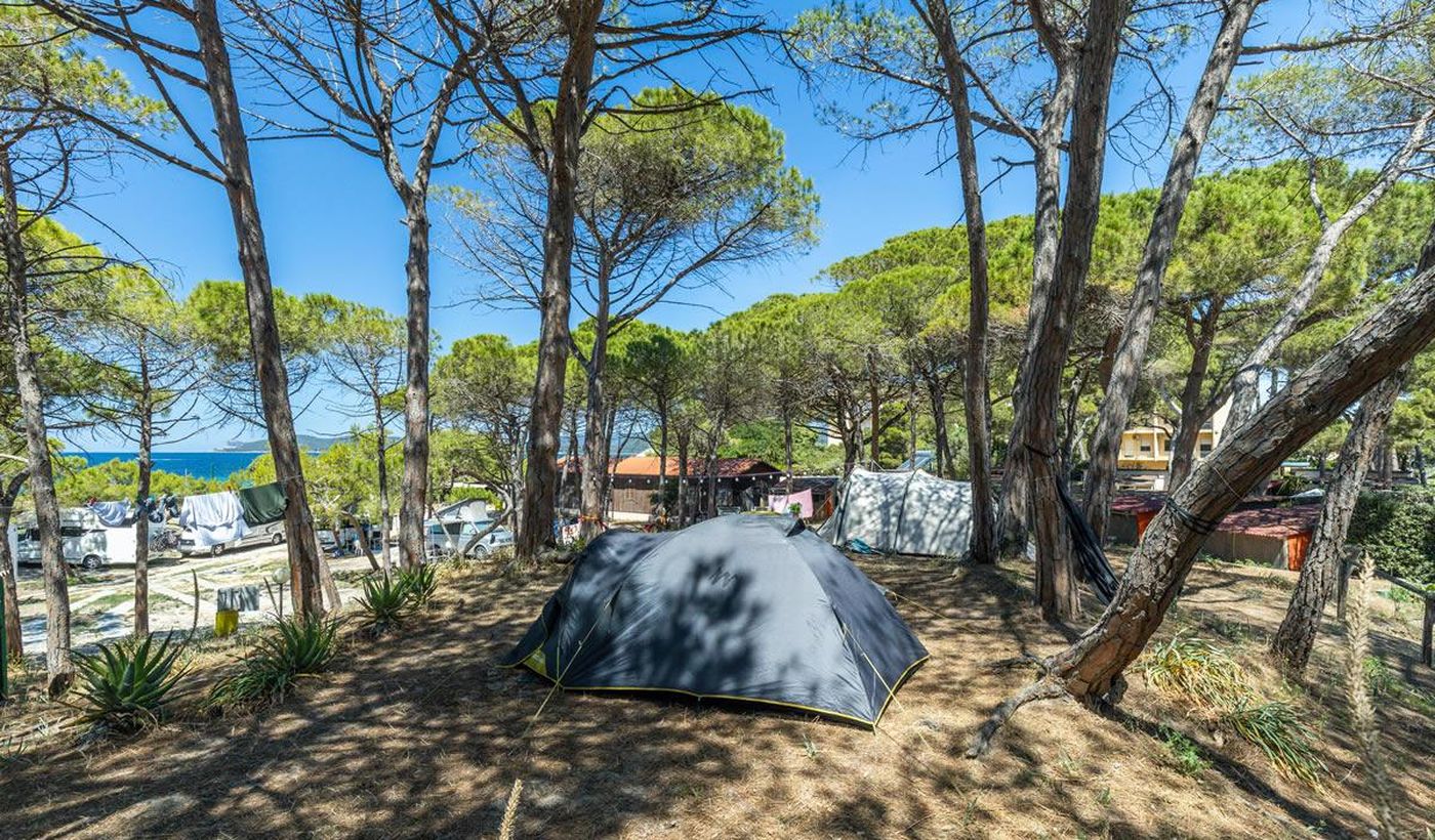 Camping La Mariposa