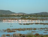 Camping in San Teodoro