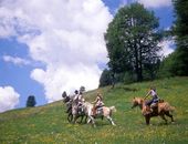 Reiten in Trentino Südtirol