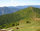 Ausflüge mit Wanderführer im Trentino Südtirol