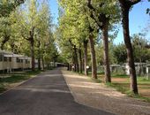 Die Chalets auf dem Campingplatz