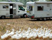 Camping Falconera