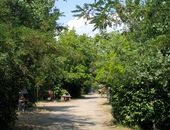 Camping in der Nähe von Ajaccio, Korsika