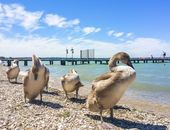 Feriendorf direkt am Gardasee