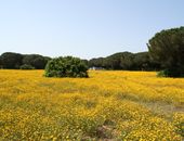 Feriendorf in Tarquinia, Latium