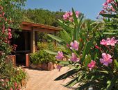 Bungalow in Alghero