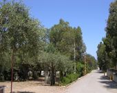 Camping a Cefalù