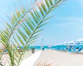 International Camping Village Etruria