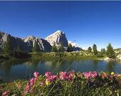 International Camping Olympia