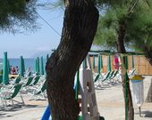 Strand des Campings in Ligurien