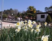 Camping Turist Il Gabbiano