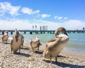 Feriendorf direkt am Gardasee