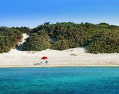 Camping Torre Castiglione