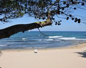 Camping La Vecchia Torre