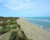 Camping Internazionale di Castelfusano