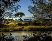 Camping Village il Sole