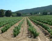 Camping du Grand Batailler