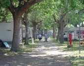 Camping Delphis Parco Vacanze