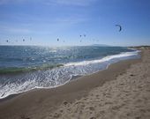 Il Campeggio di Capalbio