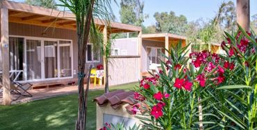 4 Mori Family Village