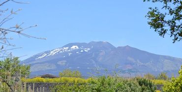 Mons Gibel Camping Park
