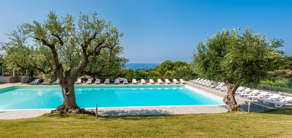 Green Village, Camerota