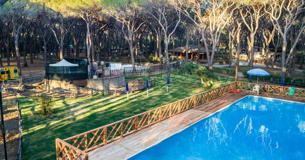  Camping  Village  Le Marze 3 stelle Toscana Grosseto Camping 