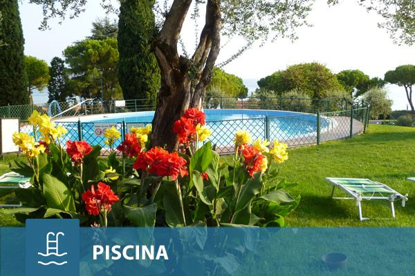 Camping village with pool Camping village with pool