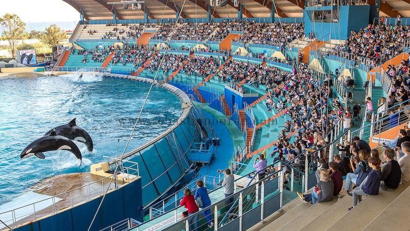 Le Marineland d'Antibes