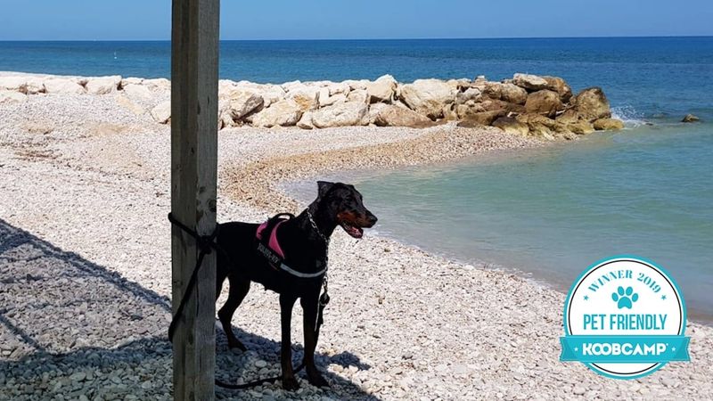 Die 10 beste Campingplätze und Feriendörfer Pet Friendly in Italien: der Camping Pineto Beach Village & Camping - Pineto (TE) ist der erste für 2019.