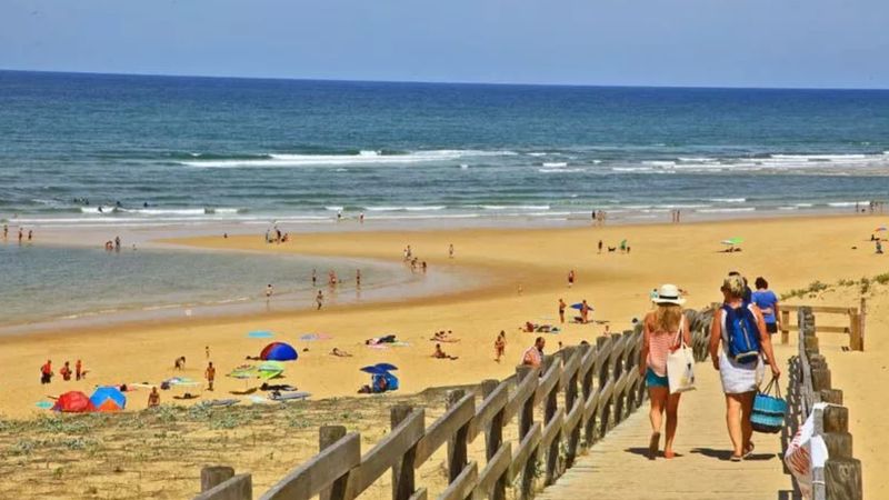 Les Landes: Authentic experiences from the beach to the forest
