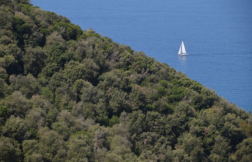 Costa degli Etruschi: relax, escursioni e tanta storia